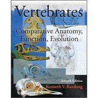Vertebrates: Comparative Anatomy