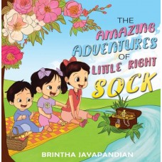 The Amazing Adventures of Little Right Sock